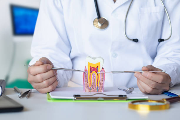 Best Emergency Root Canal Treatment in Pinewood Estates, TX